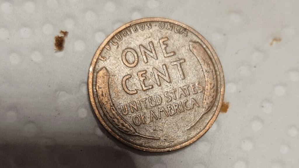A Lincoln Wheat Penny Valued at $9.9 Million Is Still Found in Circulation