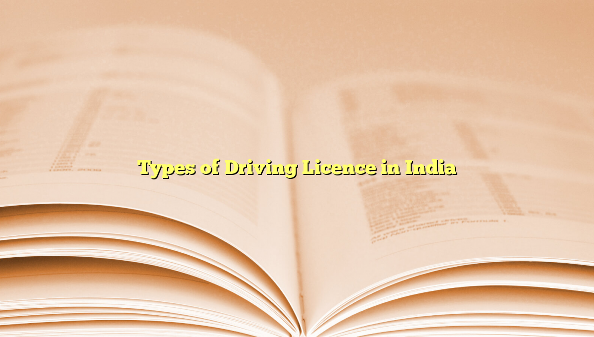 Types of Driving Licence in India