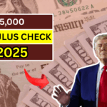 $5,000 Stimulus Check in the Works? Here’s the Truth About the DOGE Proposal and When You Could Get Paid